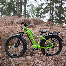 Rollincycle