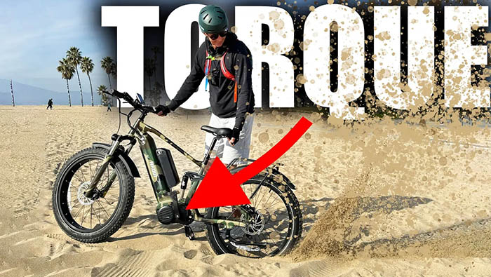 The MONSTER TRUCK of Ebikes! 